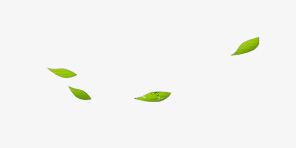 树叶免抠