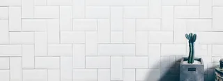 简约瓷砖盆栽仙人掌花盆背景高清