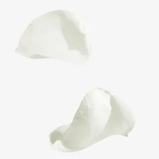 凋落的纯白色花瓣免抠 凋落的纯白色花瓣免抠