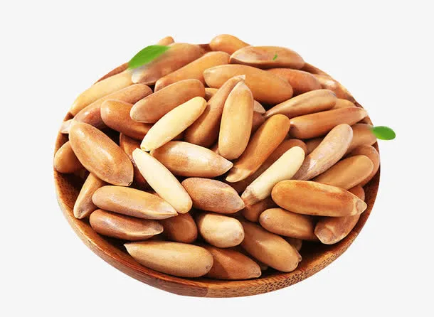 巴西开口松子素材免抠