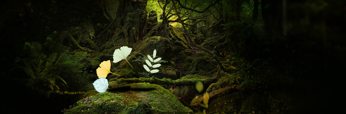 淘宝背景高清