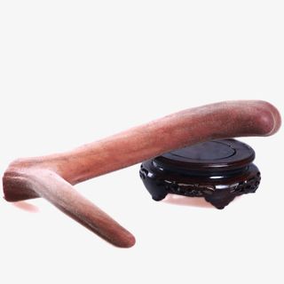 头茬二杠鹿茸新割鹿茸免抠