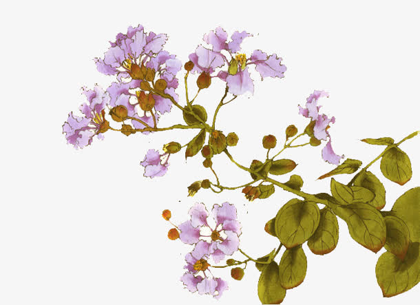 红色花朵水墨绿叶免抠