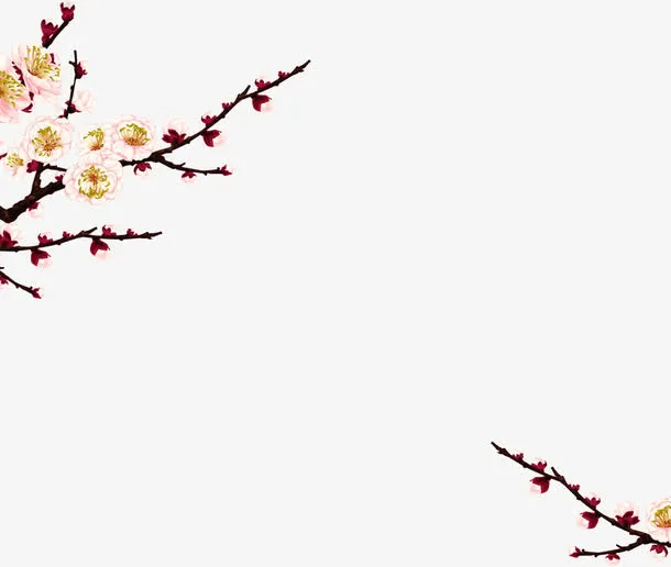 枝头梅花免抠