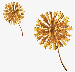 飞舞的金钱蒲公英免抠