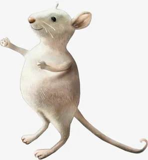 花卉插画花卉ps素材免抠