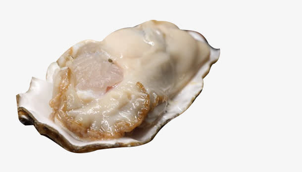 肥美的生蚝肉免抠