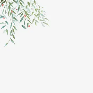 一枝绿色杨柳枝免抠