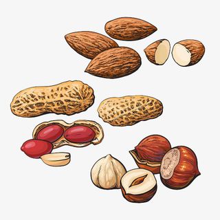 手绘干果花生免抠