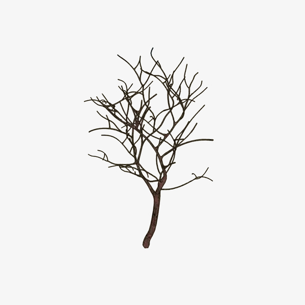 干枯的树枝免抠