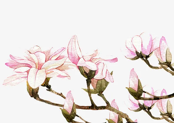 二十四番花信风-立春-三侯望春免抠
