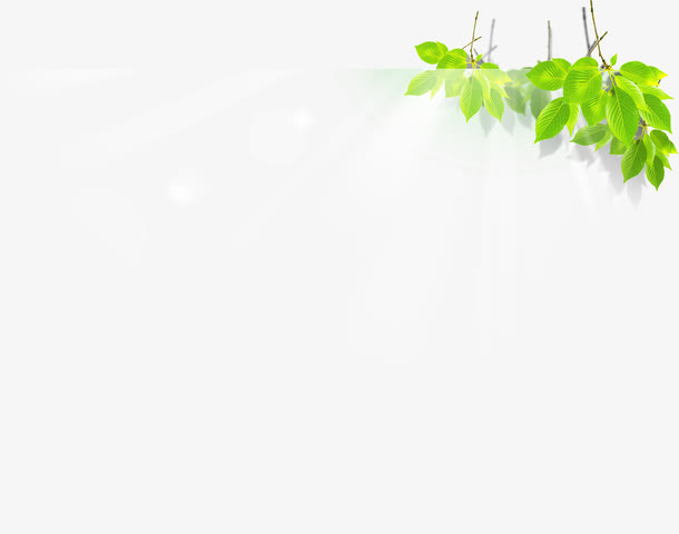 卡通春天树叶清新免抠