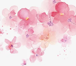 粉色水墨花瓣免抠