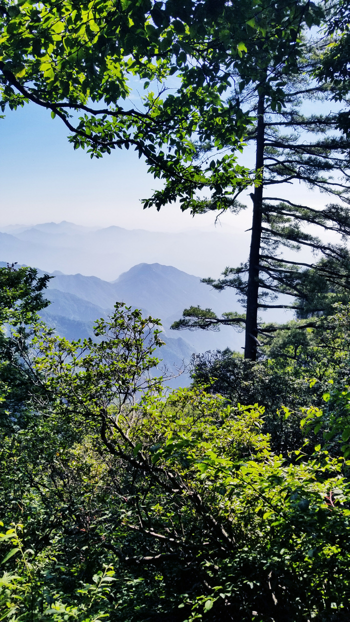 春天 爬山 绿树 蓝天高清