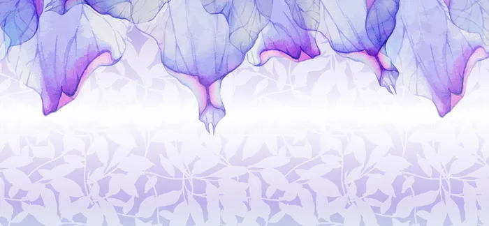 紫色花瓣纹理banner背景高清