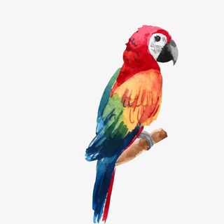 卡通手绘彩绘小鸟设计免抠