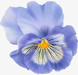 手绘卡通装饰花瓣花草装饰海报设免抠