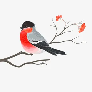 鸟，花，卡通， 树枝免抠