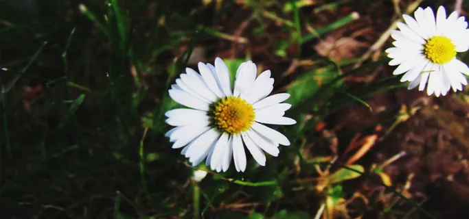 淘宝背景图高清