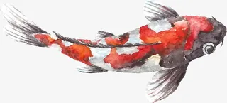 卡通矢量水墨鱼素材图免抠