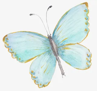 手绘蝴蝶免抠