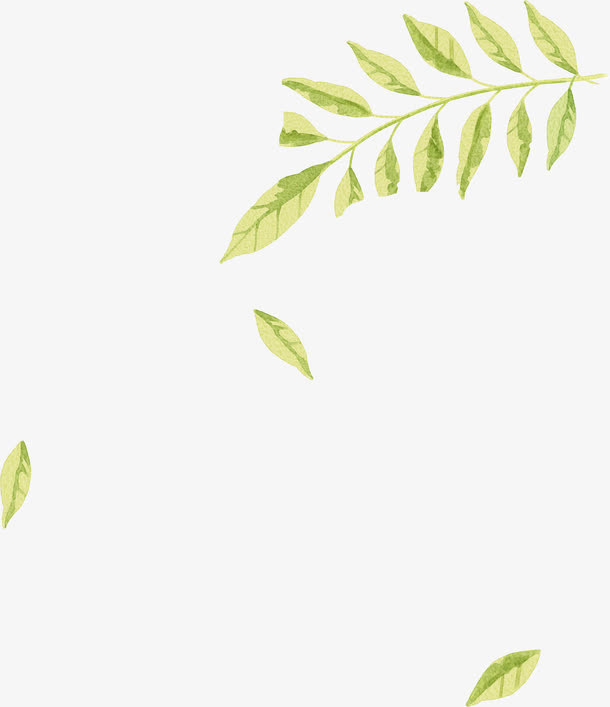 手绘绿色清新树叶落叶装饰免抠