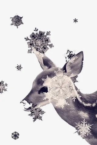 手绘梅花鹿免抠