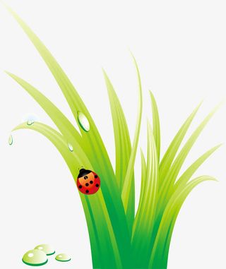 绿色小草瓢虫免抠