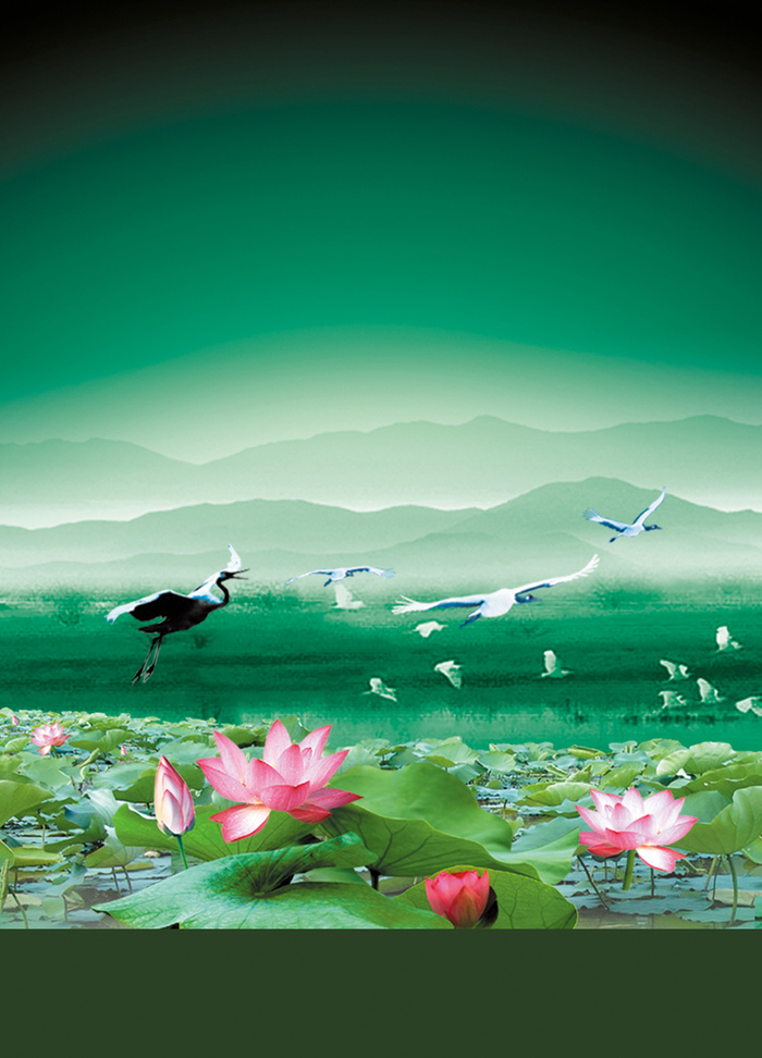 湖水荷花池背景素材高清