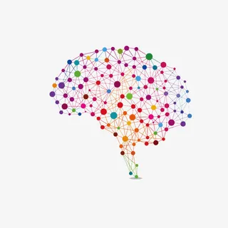 财税网网状大脑形状科技感素材免抠