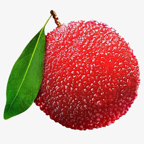 杨梅实物免抠