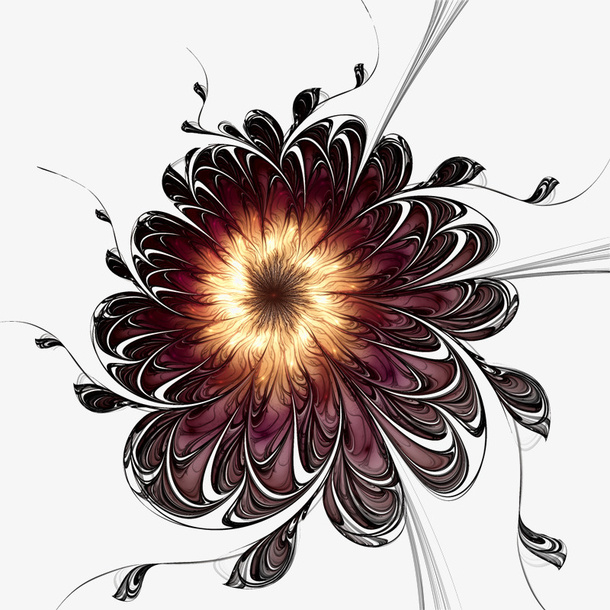 黑色花朵免抠