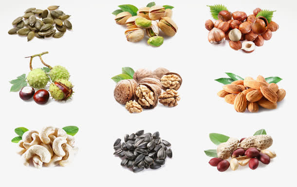 各种各样的坚果免抠