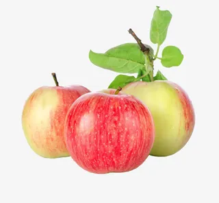 苹果免抠