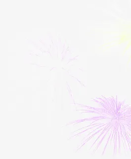 紫色手绘礼花开业免抠