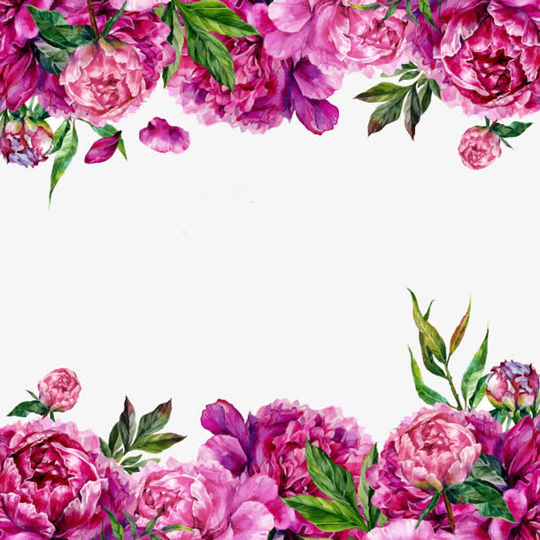 花朵边框免抠