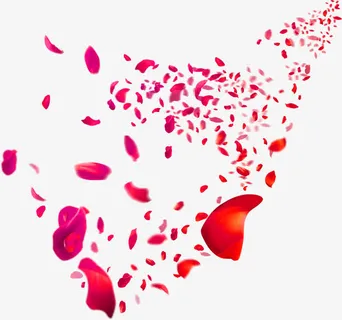 端午感恩玫瑰花瓣免抠