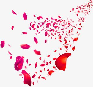 端午感恩玫瑰花瓣免抠