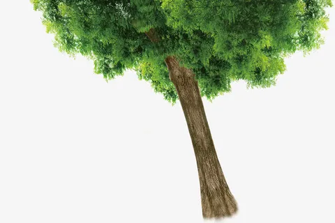 漂浮花瓣气泡简洁大方树叶树丛免抠