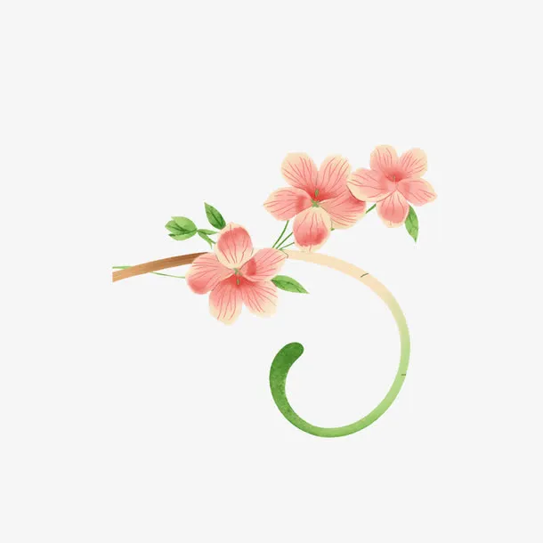 花卉元素免抠
