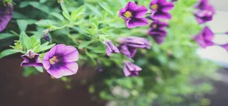 淘宝背景图高清