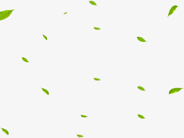树叶漂浮免抠
