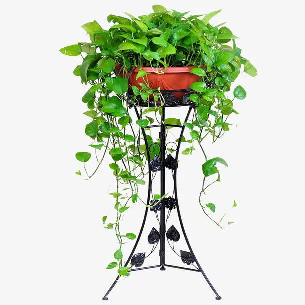 欧式铁艺花架免抠