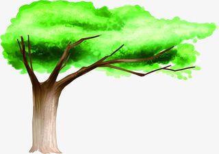 春天绿色水彩大树免抠