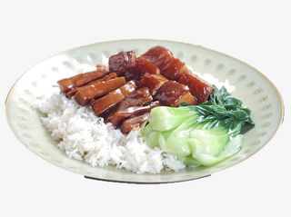 小白菜盖饭免抠