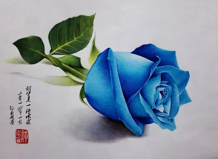 单支蓝色玫瑰蓝色妖姬免抠
