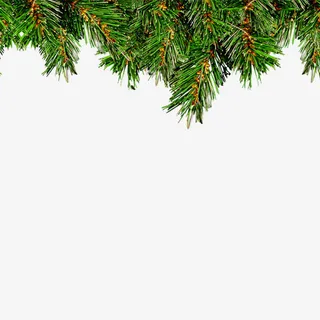 圣诞树免抠