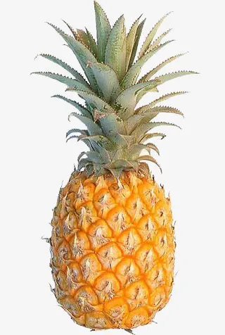 菠萝蜜水果免抠PNG图片免抠