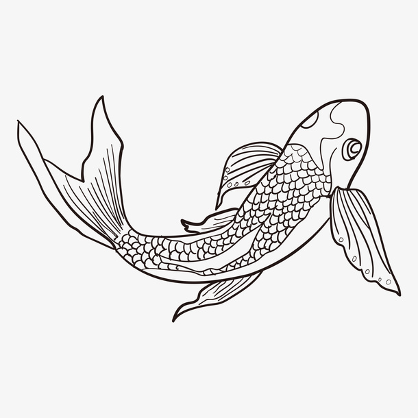 线描卡通观赏锦鲤鱼免抠