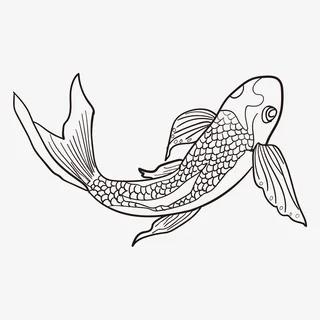 线描卡通观赏锦鲤鱼免抠